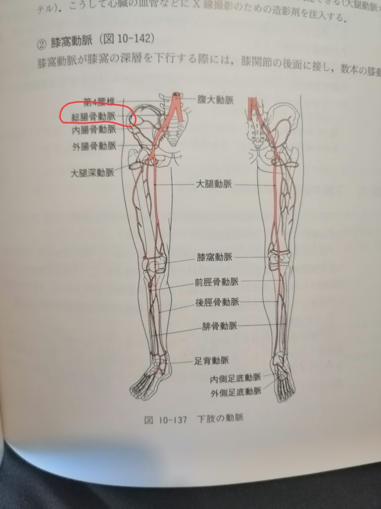 妊活と股関節