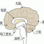 姿勢の歪みについて 右肩が下がりなどの姿勢の歪みについて