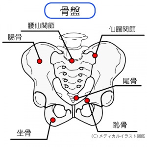 骨盤矯正 骨盤矯正渋谷